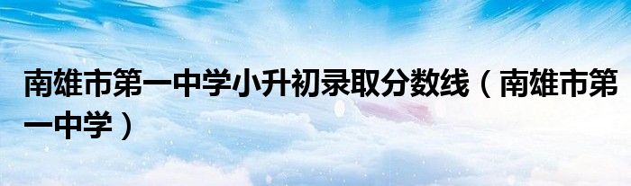 南雄市第一中学小升初录取分数线（南雄市第一中学）