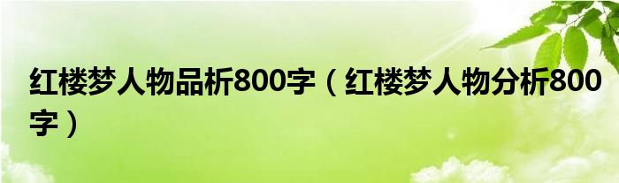 红楼梦人物品析800字（红楼梦人物分析800字）