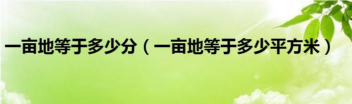 一亩地等于多少分（一亩地等于多少平方米）
