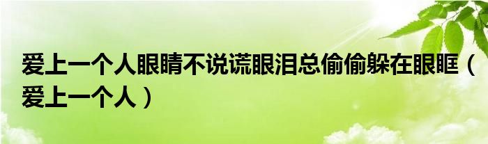 爱上一个人眼睛不说谎眼泪总偷偷躲在眼眶（爱上一个人）