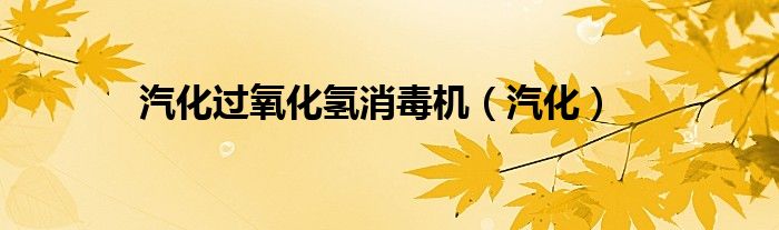 汽化过氧化氢消毒机（汽化）
