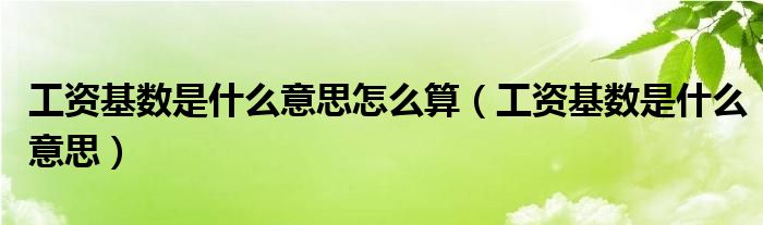 工资基数是什么意思怎么算（工资基数是什么意思）