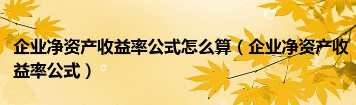企业净资产收益率公式怎么算（企业净资产收益率公式）