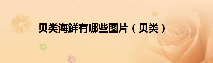 贝类海鲜有哪些图片（贝类）