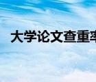大学论文查重率不得超过多少（大学论文）