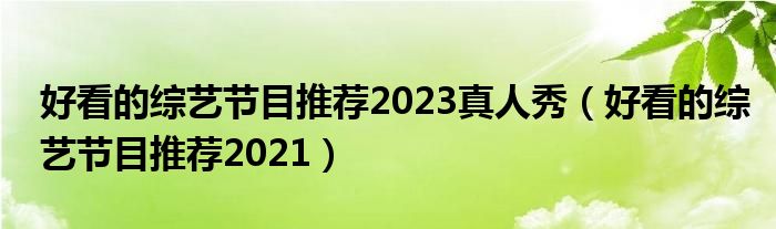 好看的综艺节目推荐2023真人秀（好看的综艺节目推荐2021）