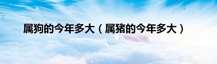属狗的今年多大（属猪的今年多大）