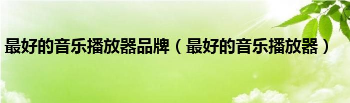 最好的音乐播放器品牌（最好的音乐播放器）