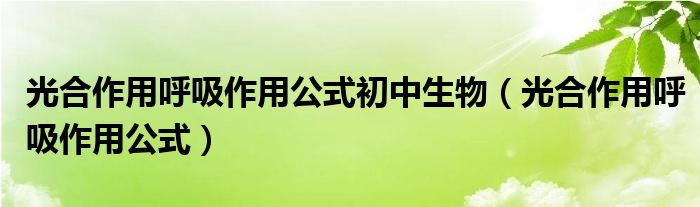 光合作用呼吸作用公式初中生物（光合作用呼吸作用公式）