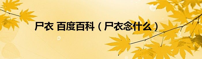 尸衣 百度百科（尸衣念什么）