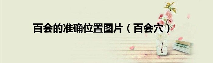 百会的准确位置图片（百会穴）