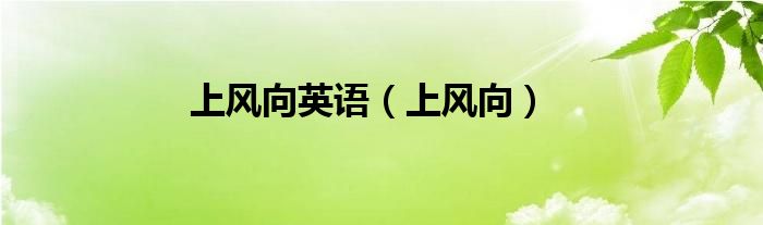 上风向英语（上风向）