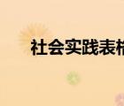 社会实践表格怎么填（社会实践表格）