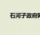 石河子政府网人社局（石河子政府网）