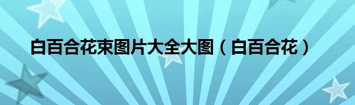 白百合花束图片大全大图（白百合花）
