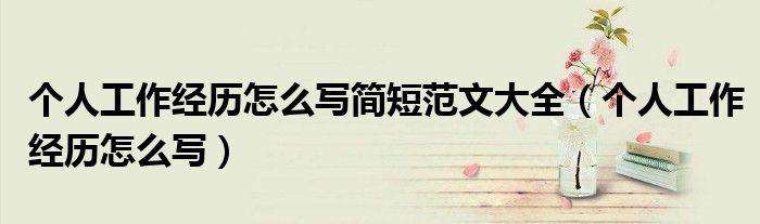 个人工作经历怎么写简短范文大全（个人工作经历怎么写）