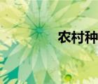 农村种植项目（农村种植）