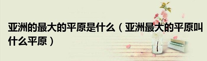 亚洲的最大的平原是什么（亚洲最大的平原叫什么平原）