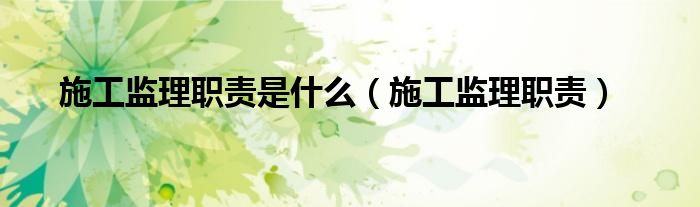 施工监理职责是什么（施工监理职责）