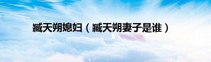 臧天朔媳妇（臧天朔妻子是谁）