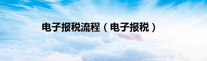 电子报税流程（电子报税）