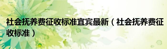社会抚养费征收标准宜宾最新（社会抚养费征收标准）
