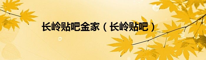 长岭贴吧金家（长岭贴吧）