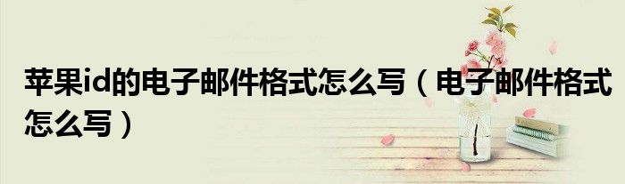 苹果id的电子邮件格式怎么写（电子邮件格式怎么写）