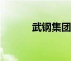 武钢集团有限公司（武钢集团）
