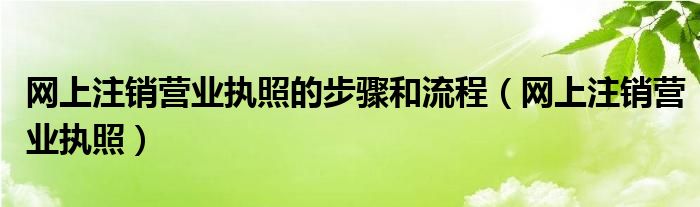 网上注销营业执照的步骤和流程（网上注销营业执照）