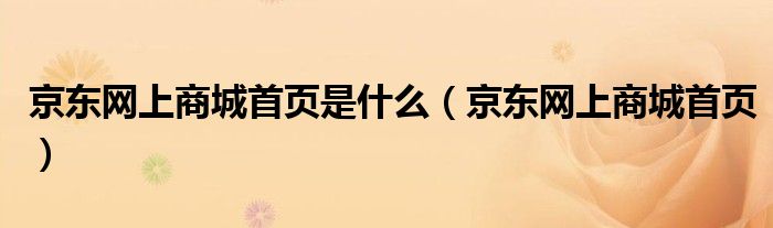 京东网上商城首页是什么（京东网上商城首页）
