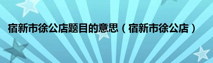 宿新市徐公店题目的意思（宿新市徐公店）