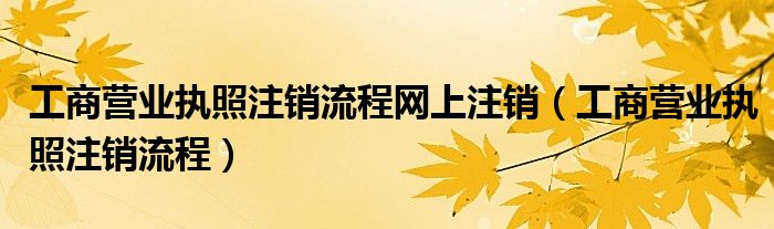 工商营业执照注销流程网上注销（工商营业执照注销流程）