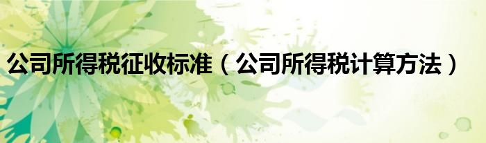 公司所得税征收标准（公司所得税计算方法）