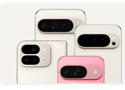 Pixel9的旧款机型将搭载Pixel9的声音很重要功能该功能不是为鸟类而设而是来自鸟类