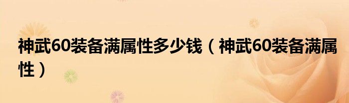 神武60装备满属性多少钱（神武60装备满属性）