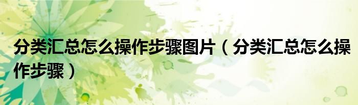 分类汇总怎么操作步骤图片（分类汇总怎么操作步骤）
