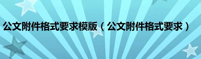 公文附件格式要求模版（公文附件格式要求）