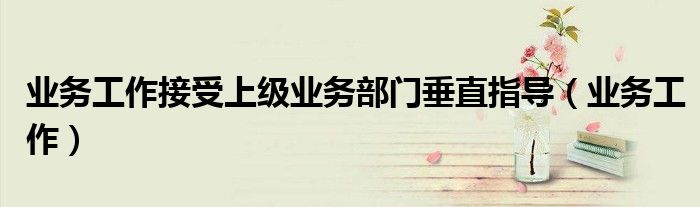 业务工作接受上级业务部门垂直指导（业务工作）
