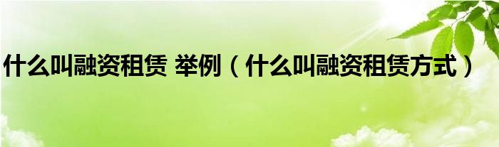 什么叫融资租赁 举例（什么叫融资租赁方式）