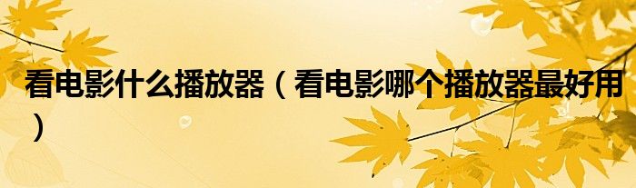 看电影什么播放器（看电影哪个播放器最好用）