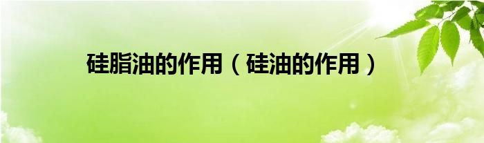 硅脂油的作用（硅油的作用）