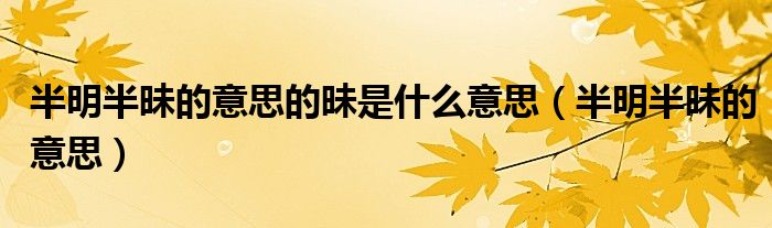 半明半昧的意思的昧是什么意思（半明半昧的意思）
