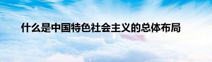 什么是中国特色社会主义的总体布局