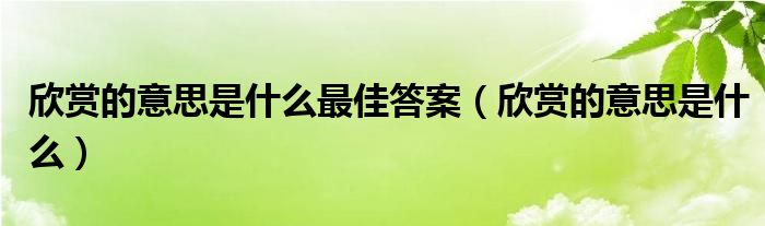 欣赏的意思是什么最佳答案（欣赏的意思是什么）