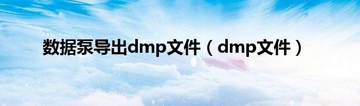 数据泵导出dmp文件（dmp文件）