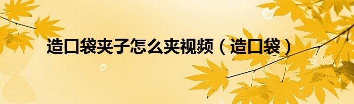 造口袋夹子怎么夹视频（造口袋）