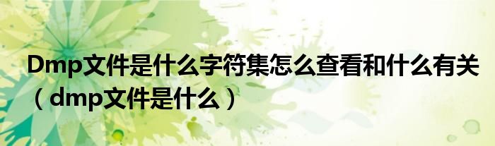 Dmp文件是什么字符集怎么查看和什么有关（dmp文件是什么）