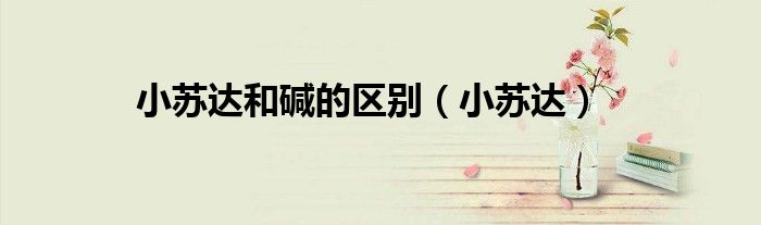 小苏达和碱的区别（小苏达）