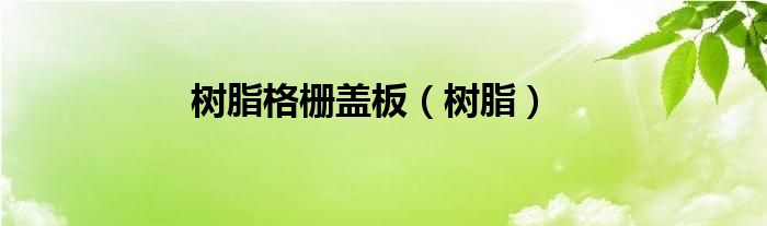 树脂格栅盖板（树脂）